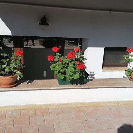 Ana Boutique Acomodação com café da manhã Alba Iulia Exterior foto