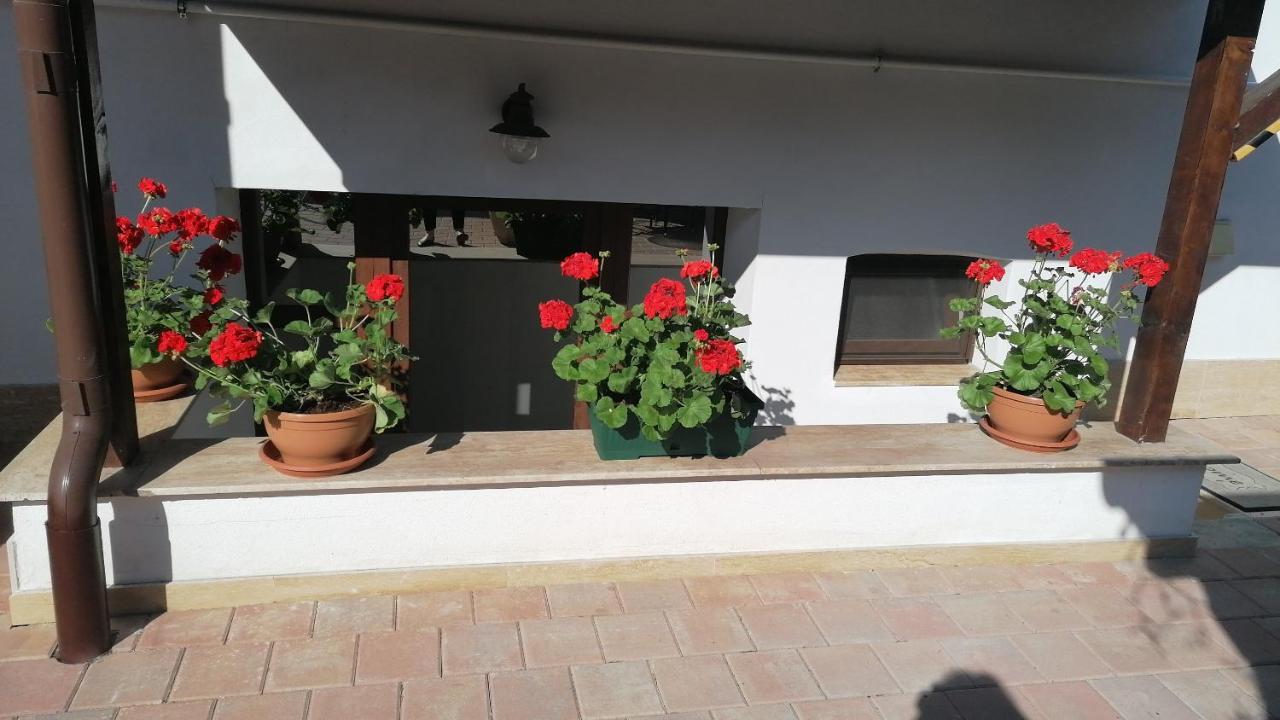 Ana Boutique Acomodação com café da manhã Alba Iulia Exterior foto