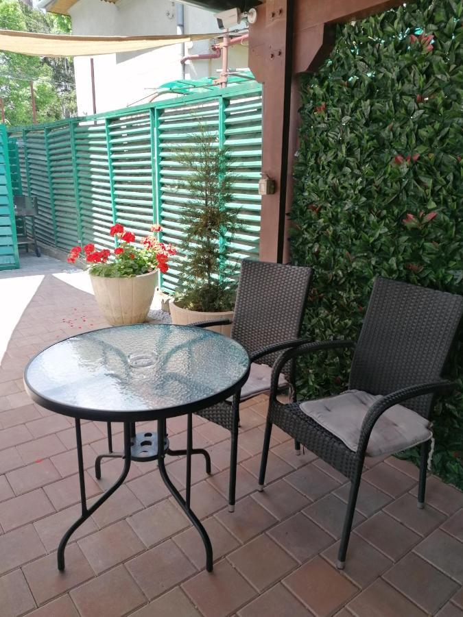 Ana Boutique Acomodação com café da manhã Alba Iulia Exterior foto